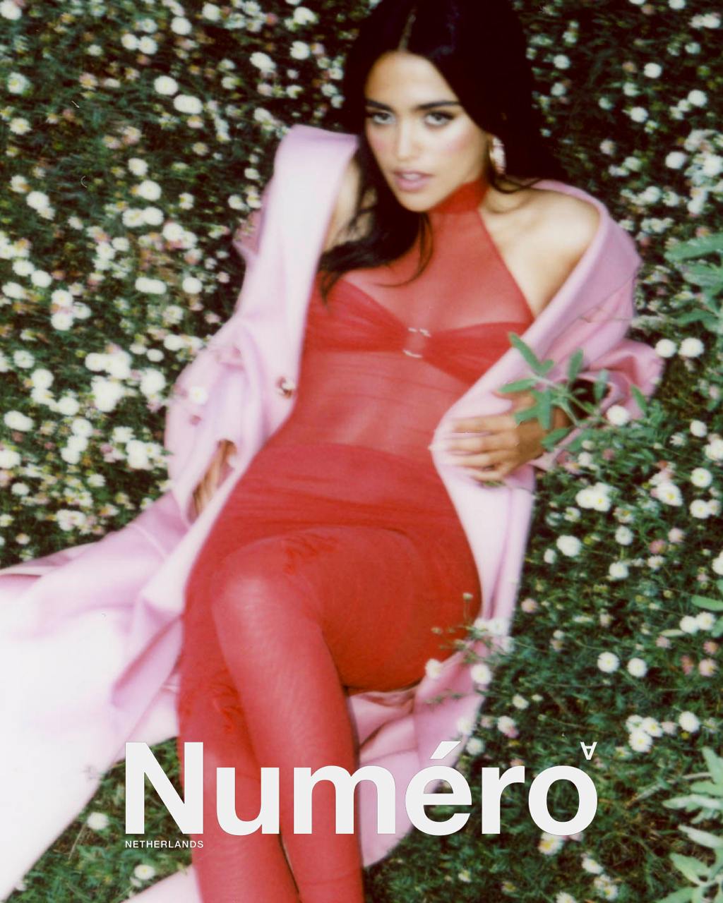 Numéro Netherland